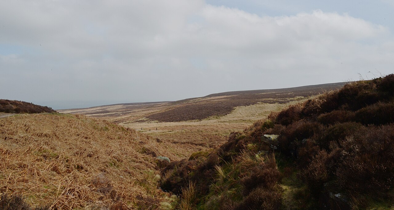 Ilkley (Cow & Calf and Quarry)