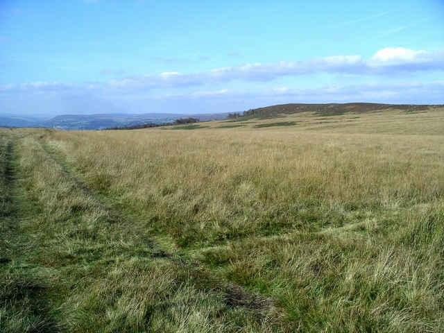 Curbar Edge, Gritstone