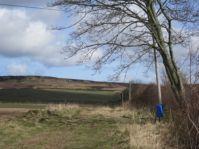 Kyloe-in-the-Wood, Sandstone