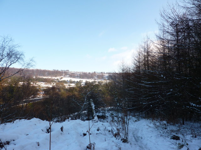 Birchen Edge, Gritstone