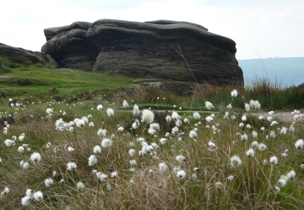 Curbar Edge