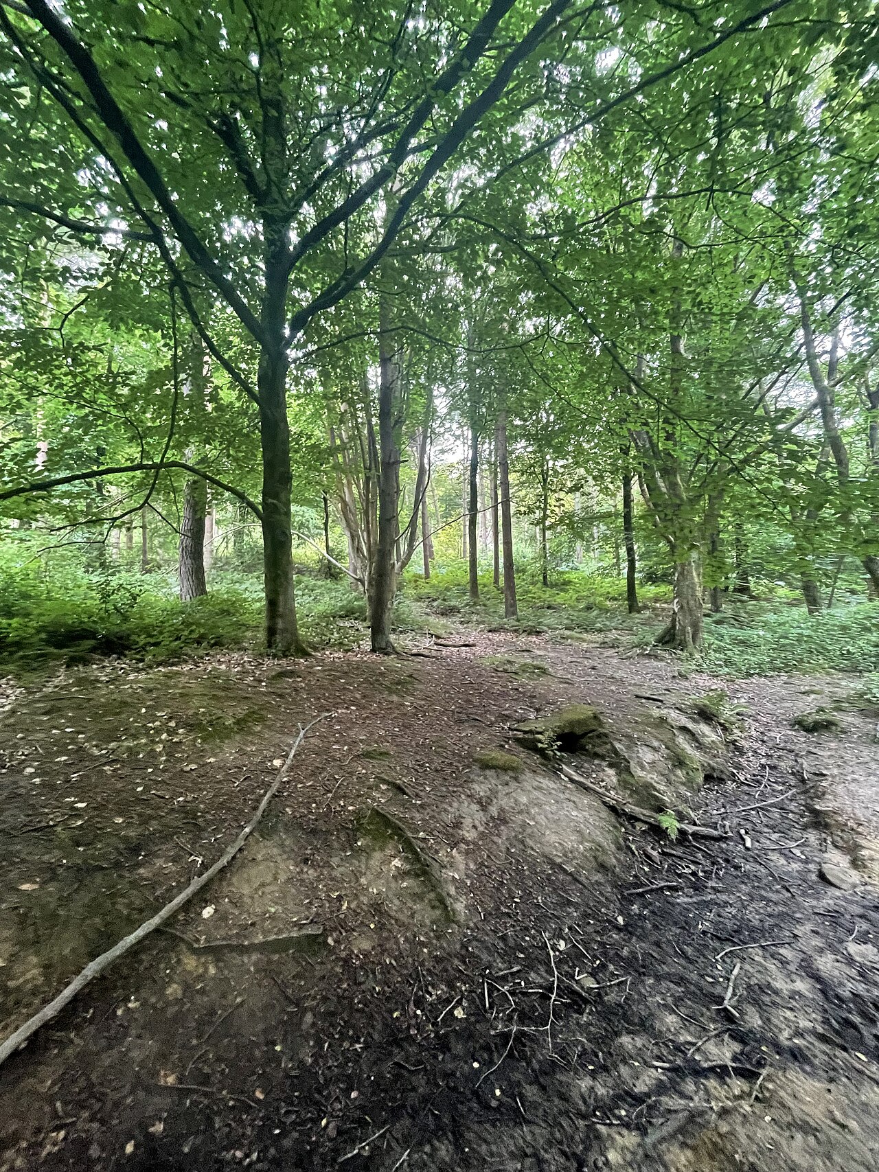 Caley Crags