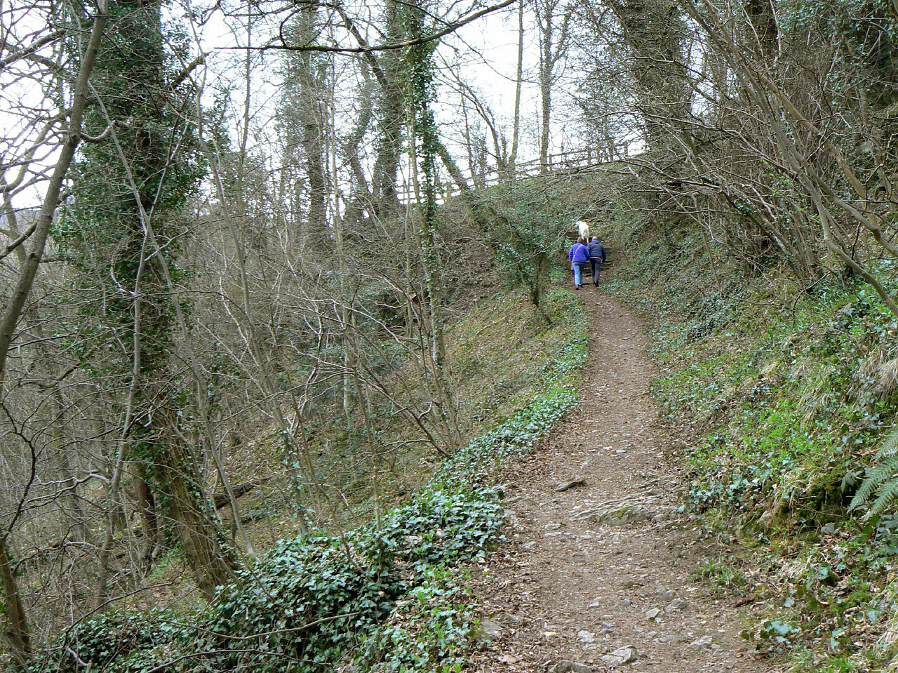High Tor, Limestone