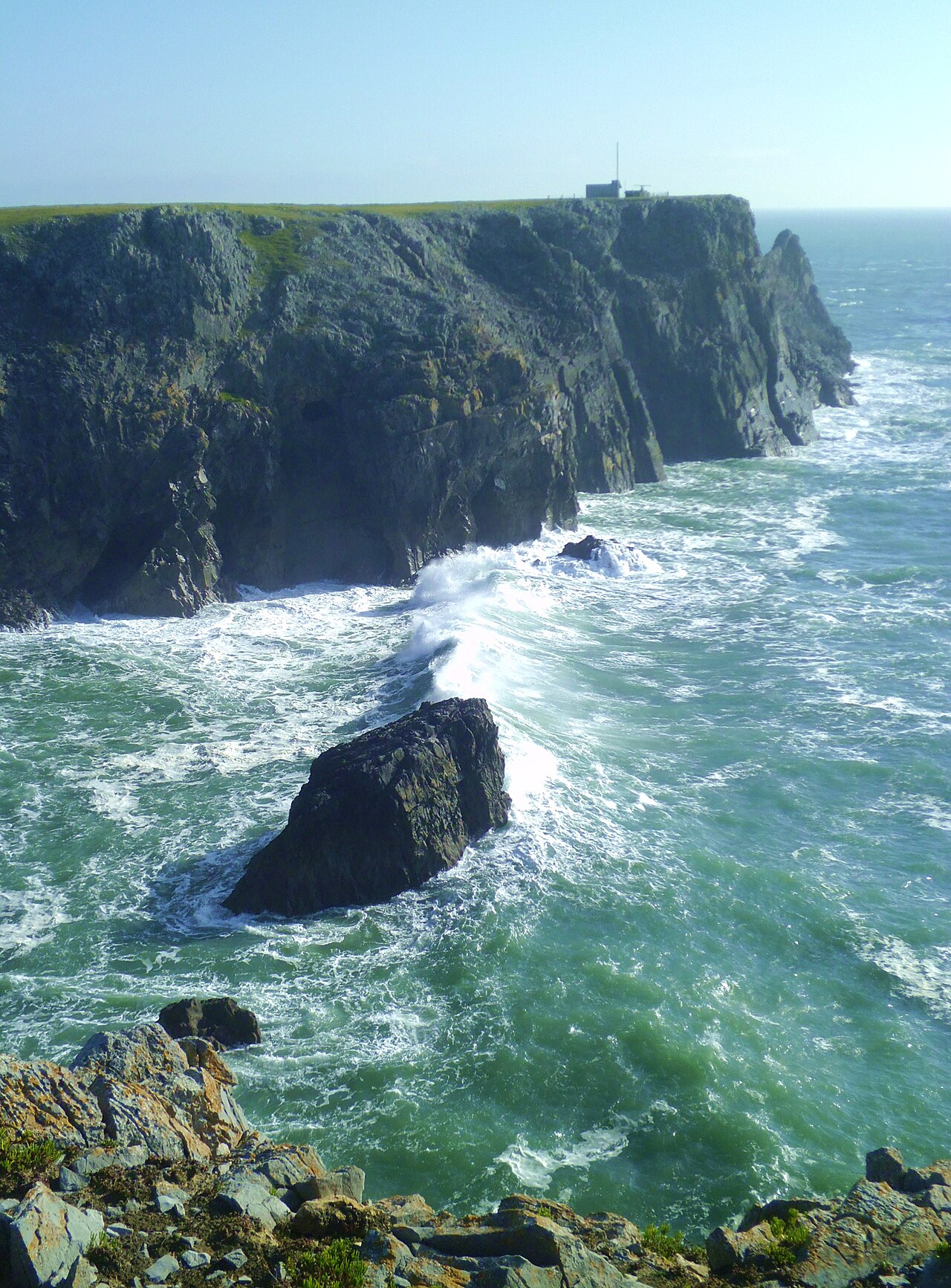 Saddle Head