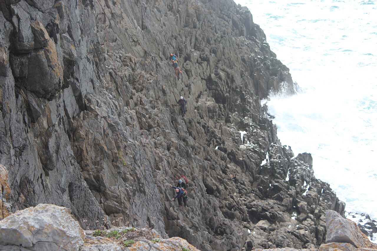 Saddle Head