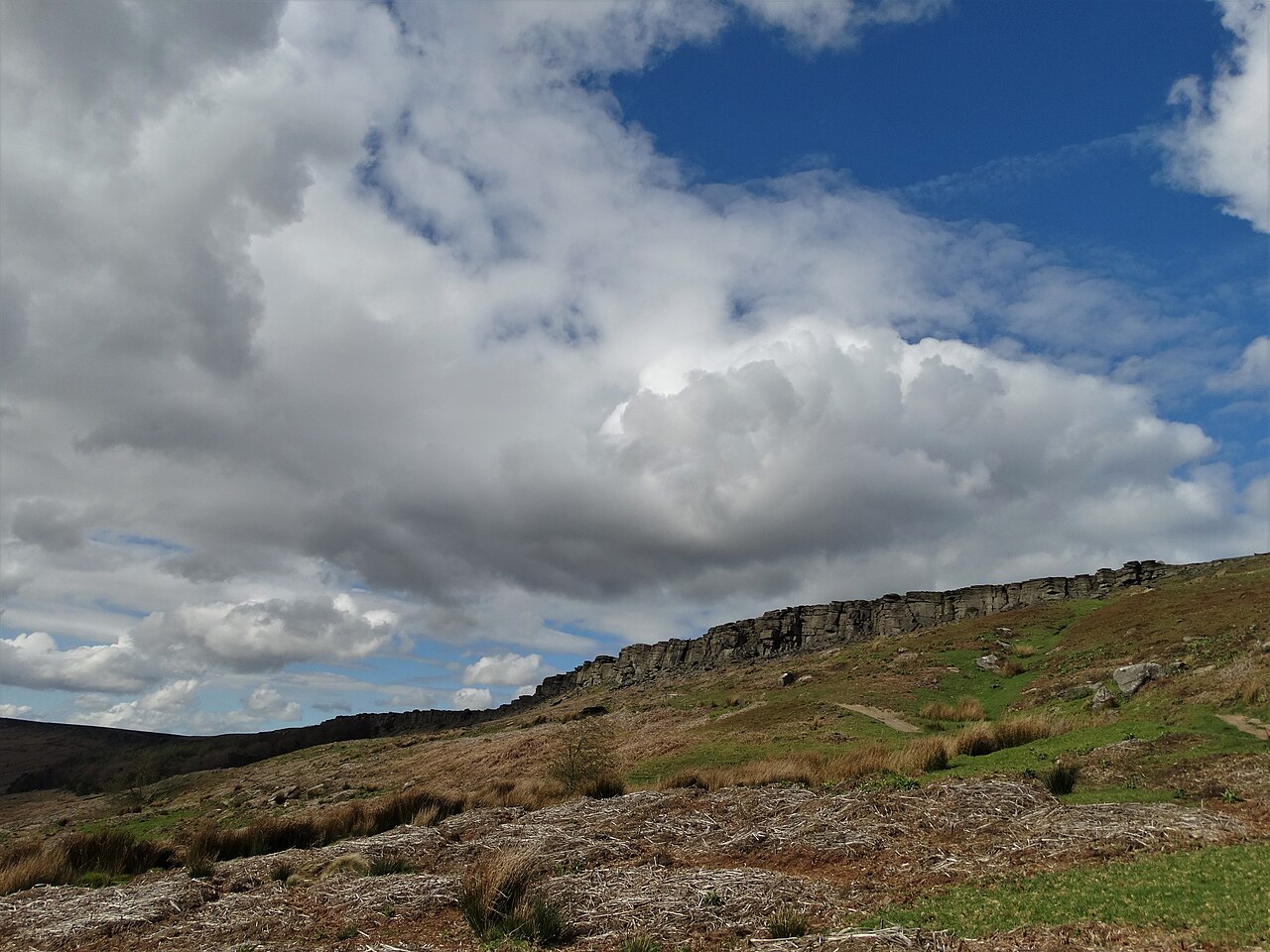 Stanage Plantation