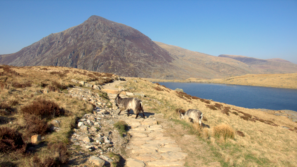 Idwal Slabs