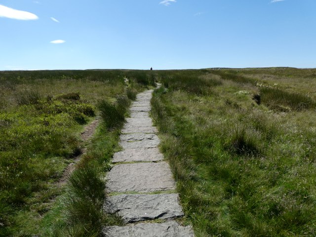 Ilkley (Cow & Calf and Quarry)