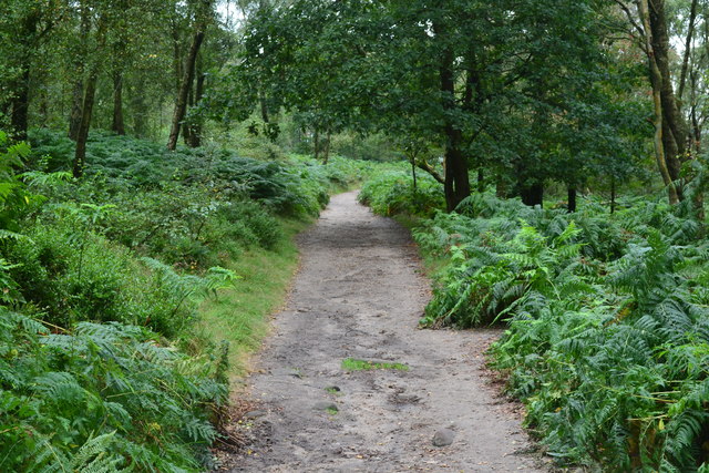 Froggatt Edge