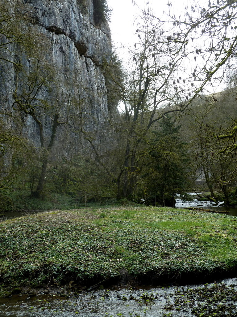 Raven Tor, Limestone