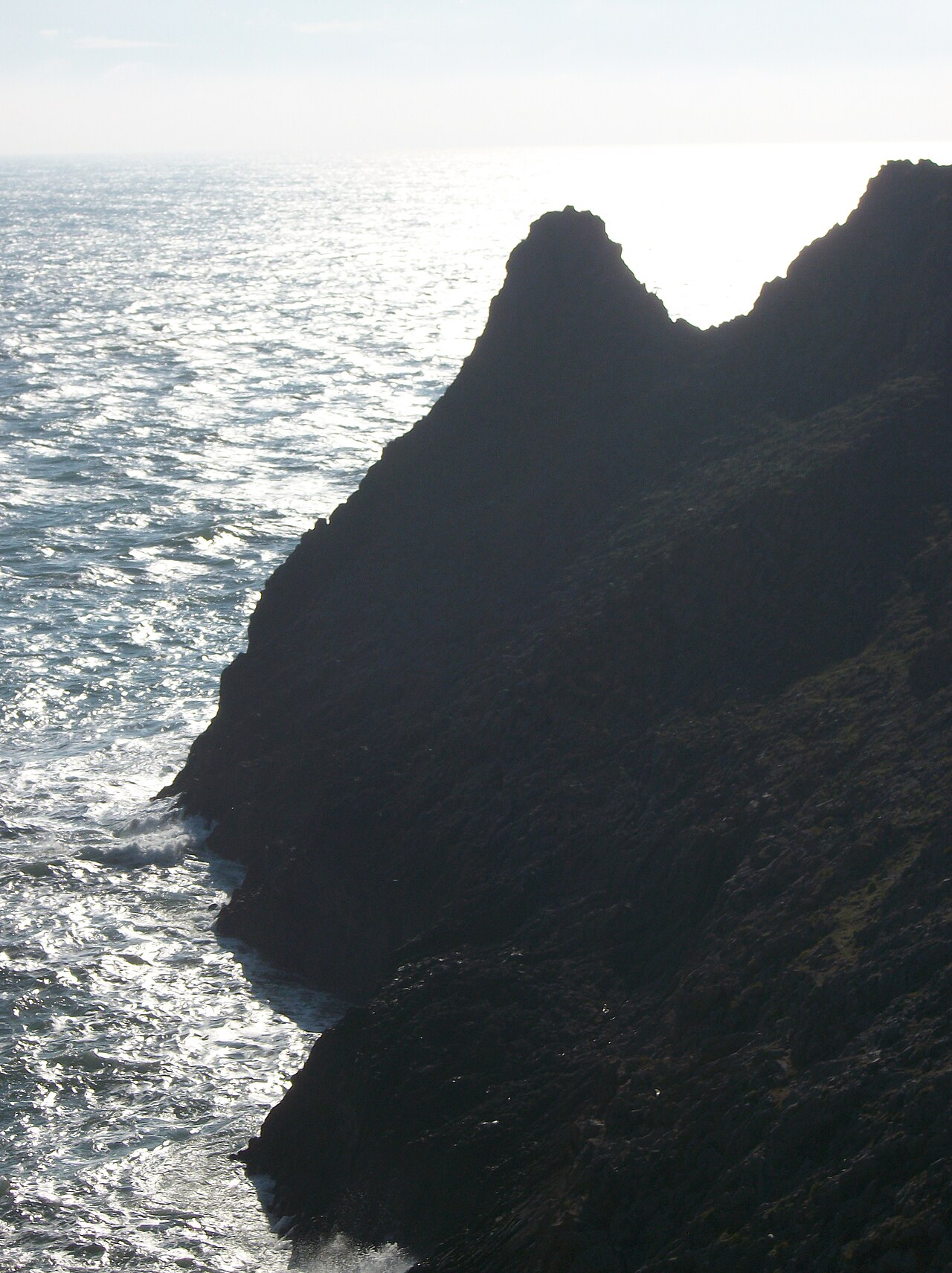 Saddle Head