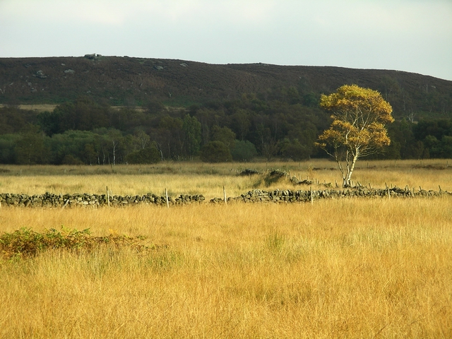 Froggatt Edge, Gritstone