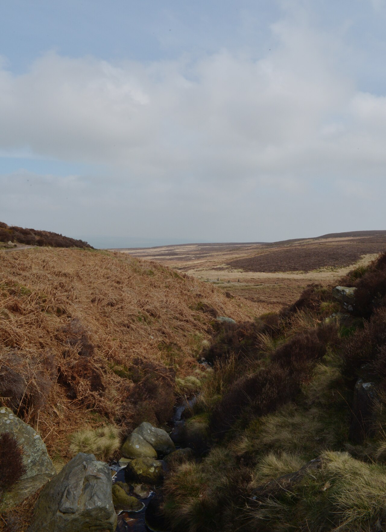 Ilkley (Cow & Calf and Quarry)