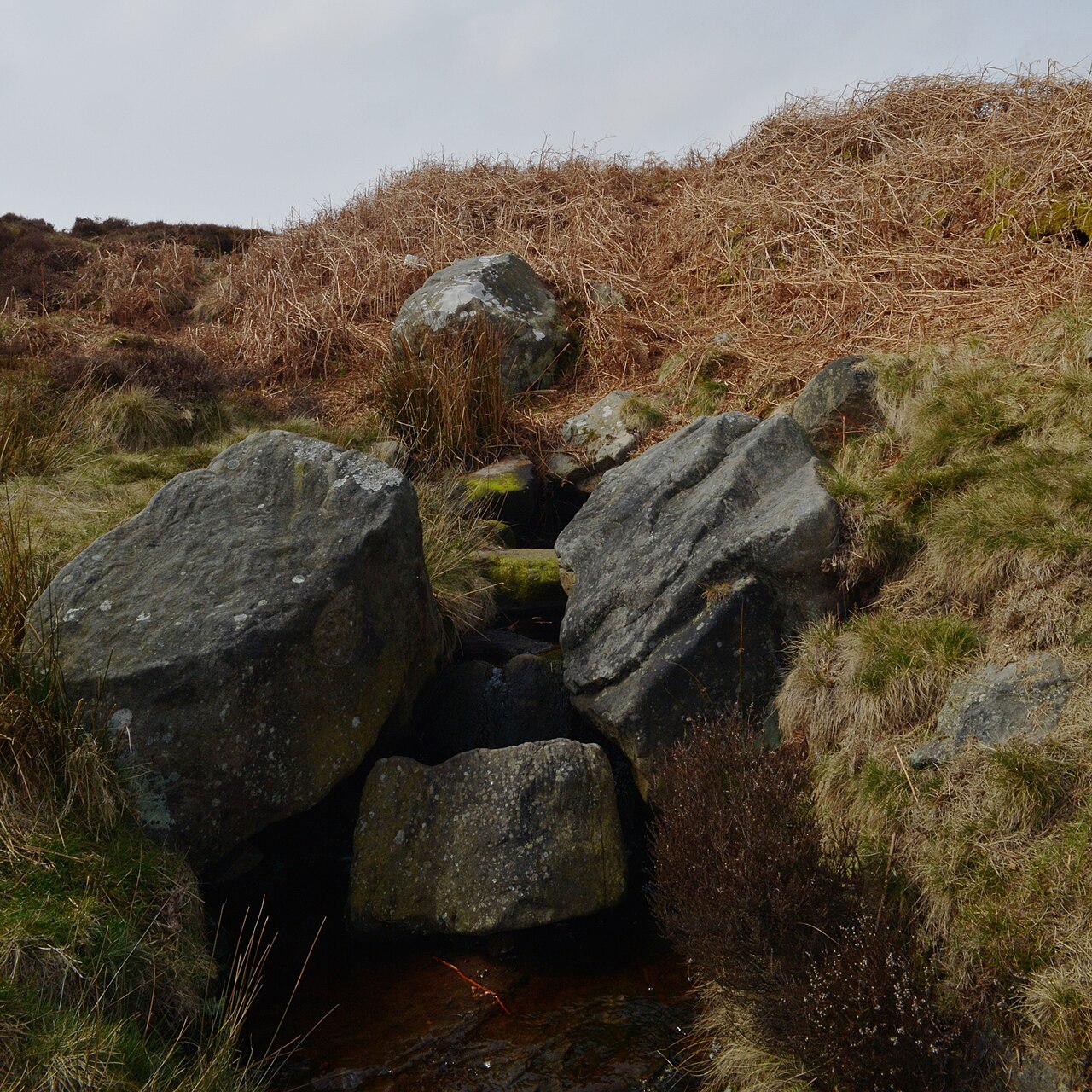 Ilkley (Cow & Calf and Quarry)
