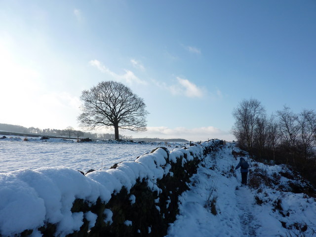 Birchen Edge