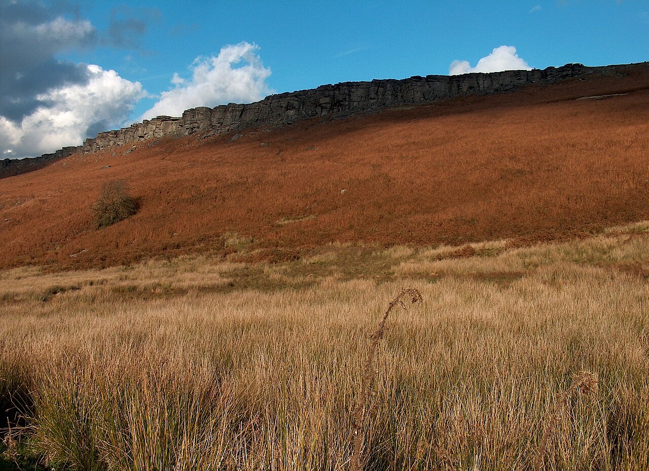Stanage Plantation