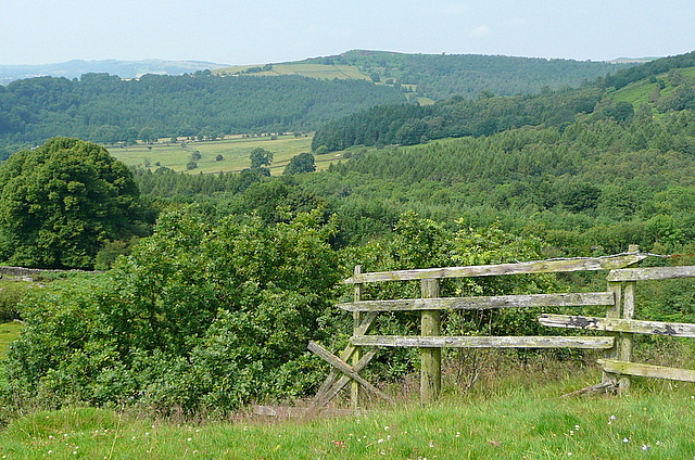 Birchen Edge