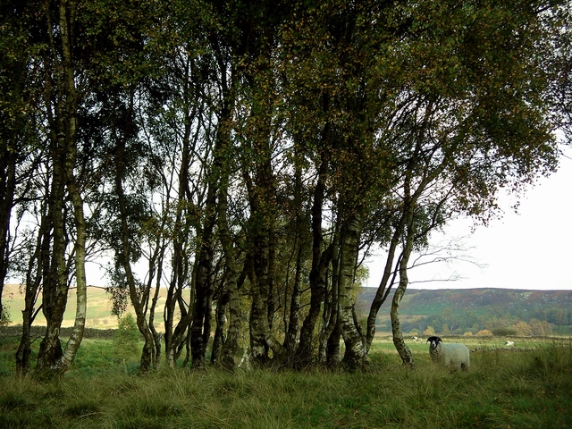 Froggatt Edge
