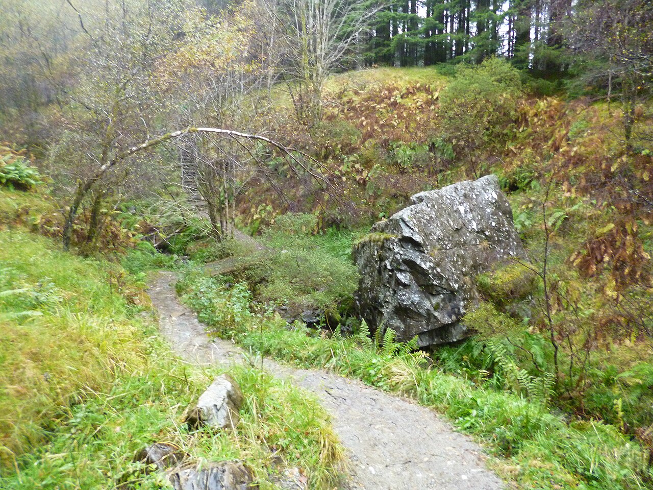 Polldubh Crags (Glen Nevis)