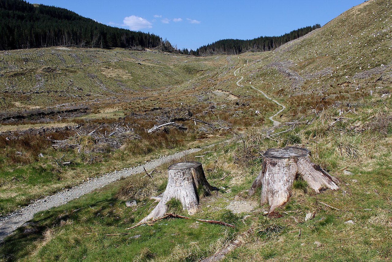 Polldubh Crags (Glen Nevis)