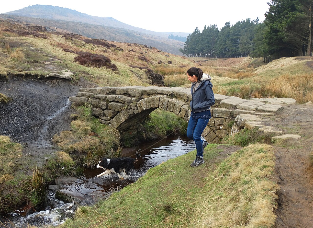 Burbage North & South, Gritstone